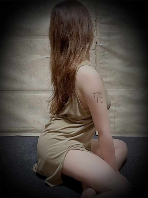 収容番号：75番4